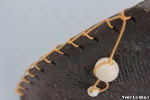 terre noire, grès brut, céramique terenko, saint avé, morbihan